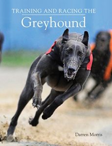 Baixar Training and Racing the Greyhound pdf, epub, ebook