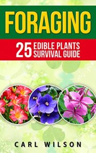 Baixar Foraging: All In One Foraging Guide With 25 WIld Edible Plants (Medicinal Herbs – Medicinal Plants – Wild Edible Plants – Edible Flowers – Wilderness Survival – Survivalist) (English Edition) pdf, epub, ebook