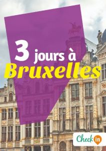 Baixar 3 jours à Bruxelles: Des cartes, des bons plans et les itinéraires indispensables (French Edition) pdf, epub, ebook