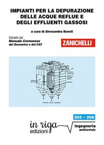 Baixar Impianti per la depurazione delle acque reflue e degli effluenti gassosi: Coedizione Zanichelli – in riga (in riga ingegneria Vol. 205) pdf, epub, ebook