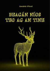 Baixar beagán níos teo ag an tine (Irish Edition) pdf, epub, ebook
