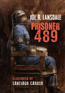 Baixar Prisoner 489 (Black Labyrinth Book 2) (English Edition) pdf, epub, ebook