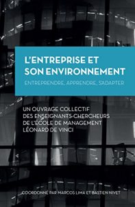 Baixar L’Entreprise et son Environnement (French Edition) pdf, epub, ebook