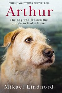 Baixar Arthur: The dog who crossed the jungle to find a home (English Edition) pdf, epub, ebook