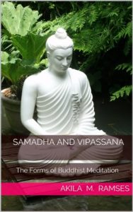 Baixar The Two Forms of Buddhist Meditation: Samadhi and Vipassana (English Edition) pdf, epub, ebook