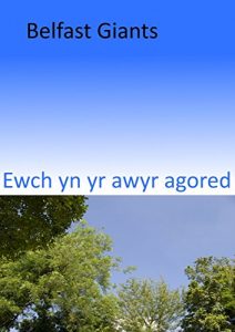 Baixar Ewch yn yr awyr agored (Welsh Edition) pdf, epub, ebook
