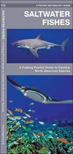 Baixar Saltwater Fishes: A Folding Pocket Guide to Familiar North American Species (Pocket Naturalist Guide Series) pdf, epub, ebook