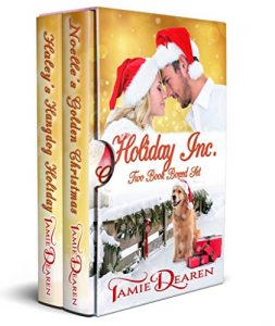 Baixar Holiday, Inc. Christian Romance Boxed Set (English Edition) pdf, epub, ebook