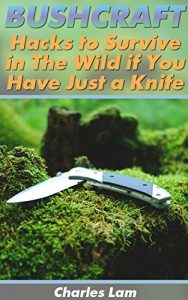 Baixar Bushcraft: Hacks to Survive in The Wild if You Have Just a Knife: (Survival Tactics, How to Survive in the Forest) (Wilderness Survival, How to Survive Natural Disaster) (English Edition) pdf, epub, ebook