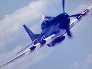 Baixar P-51 MUSTANG AEROBATIC FLIGHT: STALLION 51 “CRAZY HORSE” (English Edition) pdf, epub, ebook