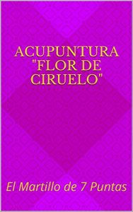 Baixar ACUPUNTURA “FLOR DE CIRUELO”: El Martillo de 7 Puntas (Spanish Edition) pdf, epub, ebook