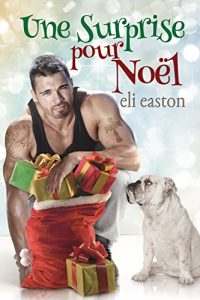 Baixar Une surprise pour Noël (French Edition) pdf, epub, ebook