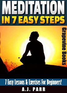 Baixar Meditation in 7 Easy Steps (7 Easy Lessons & Exercises For Beginners!): Understanding the Teachings of Eckhart Tolle, Krishnamurti, Maharishi Mahesh Yogi … (The Secret of Now Book 5) (English Edition) pdf, epub, ebook