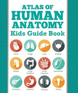 Baixar Atlas Of Human Anatomy: Kids Guide Book: Body Parts for Kids (Children’s Anatomy & Physiology Books) pdf, epub, ebook