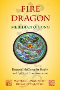 Baixar Fire Dragon Meridian Qigong: Essential NeiGong for Health and Spiritual Transformation pdf, epub, ebook