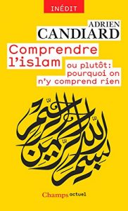 Baixar Comprendre l’islam: ou plutôt : pourquoi on n’y comprend rien (Champs actuel) pdf, epub, ebook