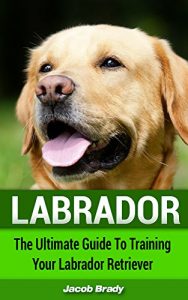 Baixar Labrador: The Ultimate Guide for Training Your Labrador Retriever (Dog Training, Labrador Puppy, Guide Dog) (English Edition) pdf, epub, ebook