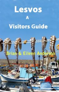 Baixar Lesvos: A Visitors Guide (Visitors Guides) (English Edition) pdf, epub, ebook