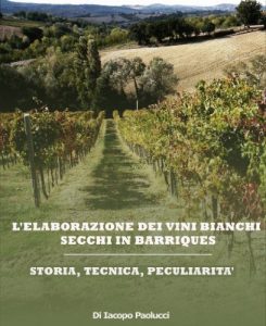 Baixar L’elaborazione dei vini bianchi secchi in barriques pdf, epub, ebook