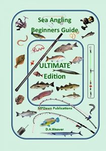 Baixar Sea Angling Beginners Guide Ultimate edition (English Edition) pdf, epub, ebook