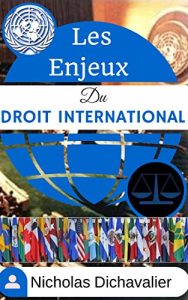 Baixar Les Enjeux du Droit International (French Edition) pdf, epub, ebook