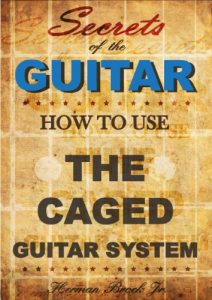 Baixar How to use the CAGED guitar chords system – Secrets of the Guitar (English Edition) pdf, epub, ebook