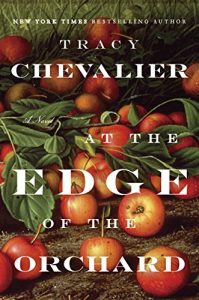 Baixar At the Edge of the Orchard: A Novel pdf, epub, ebook