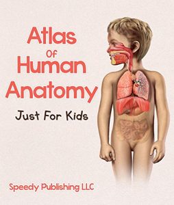 Baixar Atlas Of Human Anatomy Just For Kids pdf, epub, ebook