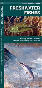 Baixar Freshwater Fishes: A Folding Pocket Guide to Familiar North American Species (Pocket Naturalist Guide Series) pdf, epub, ebook