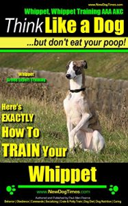 Baixar Whippet, Whippet Training AAA AKC: |Think Like a Dog, But Don’t Eat Your Poop! | Whippet Breed Expert Training | Here’s EXACTLY How to Train Your Whippet: … How To Train Your Whippet (English Edition) pdf, epub, ebook