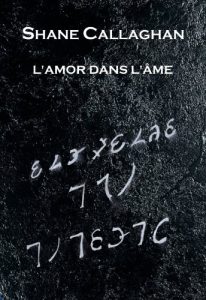 Baixar L’Amor dans l’Âme (French Edition) pdf, epub, ebook