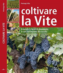 Baixar Coltivare la Vite (Guide del buon raccolto) pdf, epub, ebook
