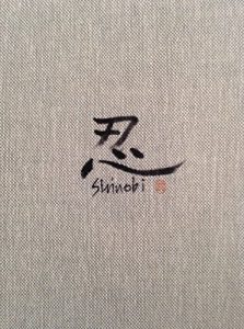 Baixar Shinobi (rekishi shosetsu) (Japanese Edition) pdf, epub, ebook