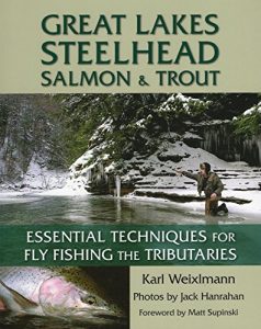 Baixar Great Lakes Steelhead, Salmon & Trout: Essential Techniques for Fly Fishing the Tributaries pdf, epub, ebook