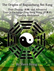 Baixar The Origins of Baguazhang Nei Kung and Dragon Gate Taoism: Zhan Zhuang and Advanced Tree Qi-Exchange Ping Heng Kung Meditation (English Edition) pdf, epub, ebook