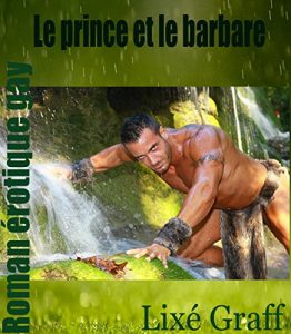 Baixar Le prince et le barbare: roman érotique gay (French Edition) pdf, epub, ebook