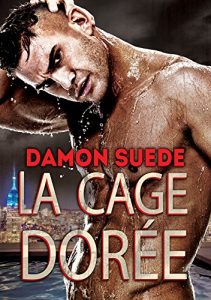 Baixar La cage dorée (French Edition) pdf, epub, ebook